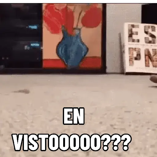 stickers_NO_ME_DEJES_EN_VISTO_✔️✔️😾_