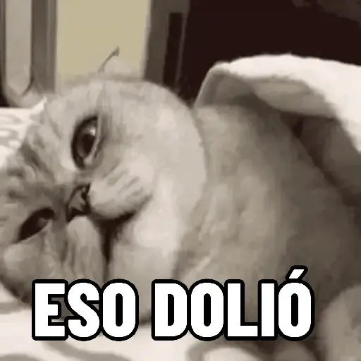 stickers_NO_ME_DEJES_EN_VISTO_✔️✔️😾_