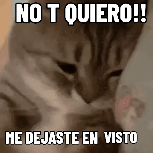 stickers_NO_ME_DEJES_EN_VISTO_✔️✔️😾_