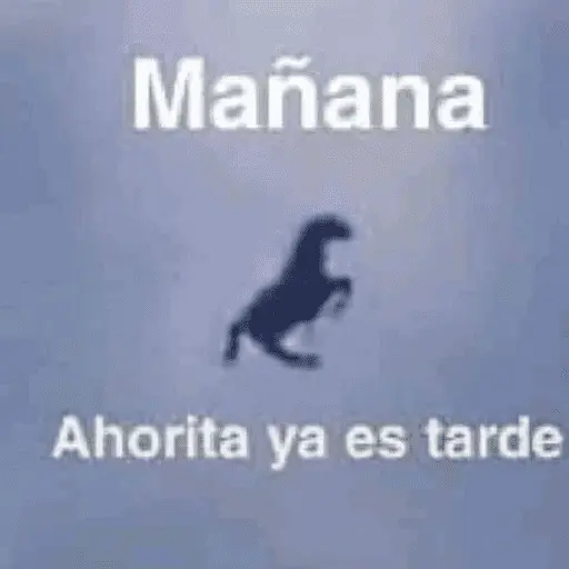 stickers_Memes_Pal_Grupo🤡