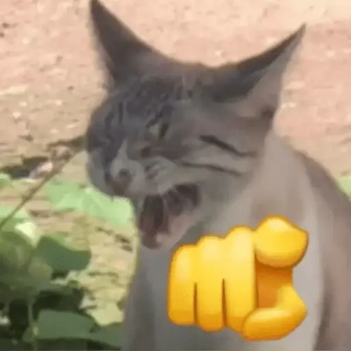 stickers_Gatos_Random_2😼🪷