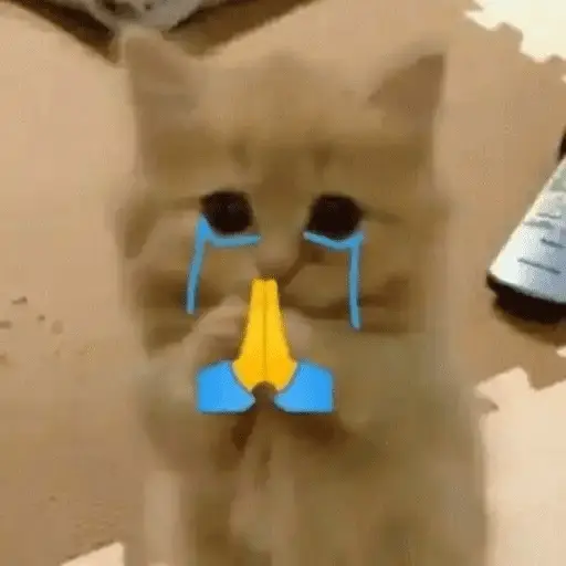 stickers_Gatos_Random_2😼🪷