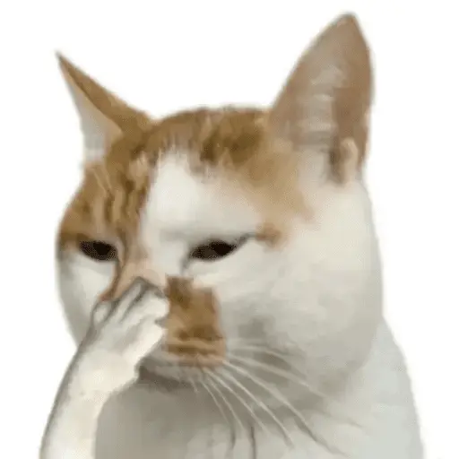 stickers_Gatos_Random_2😼🪷