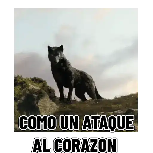 stickers_En_modo_de_defensa_estoy_🛡️