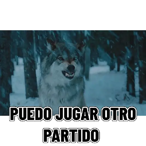stickers_En_modo_de_defensa_estoy_🛡️