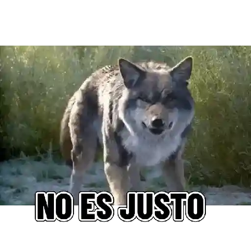 stickers_En_modo_de_defensa_estoy_🛡️