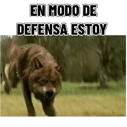 stickers_En_modo_de_defensa_estoy_🛡️