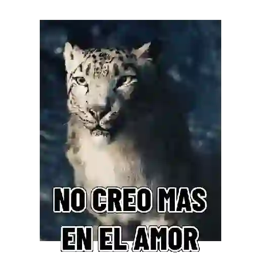 stickers_En_modo_de_defensa_estoy_🛡️