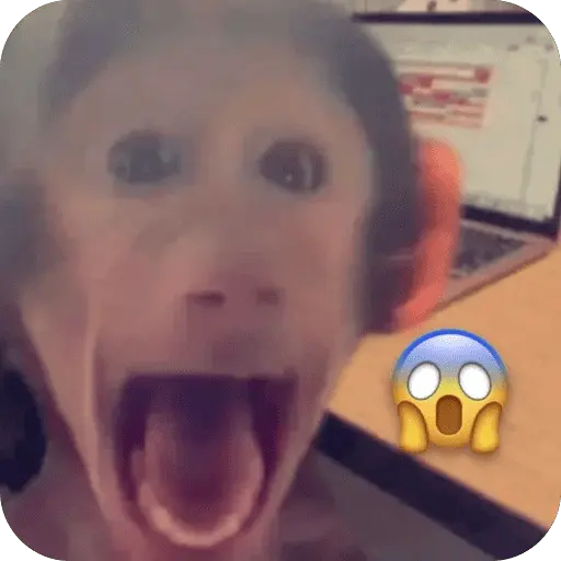 stickers_🐒_Reacciones_de_monitos🐒