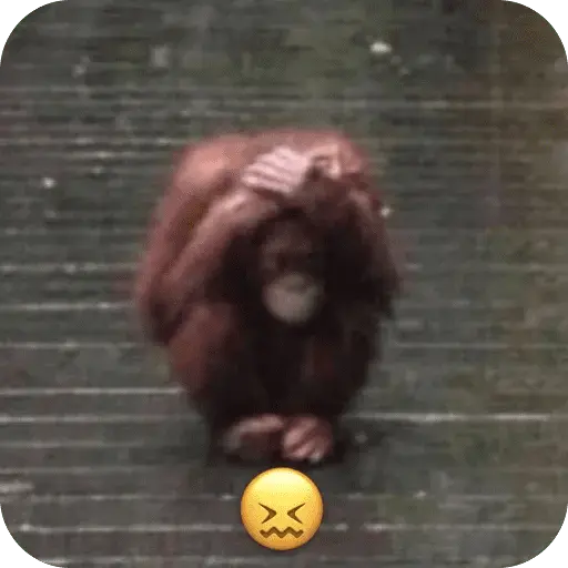 stickers_🐒_Reacciones_de_monitos🐒
