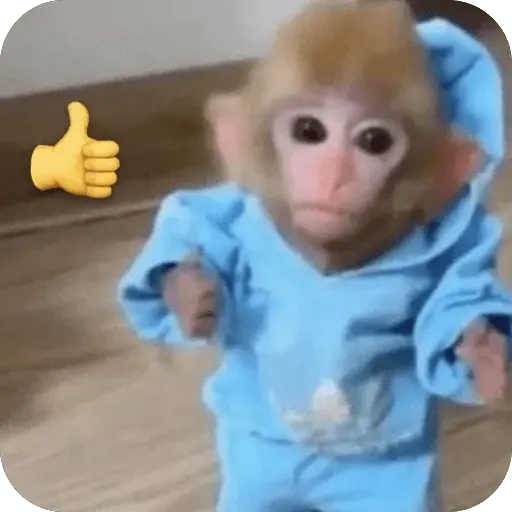 stickers_🐒_Reacciones_de_monitos🐒
