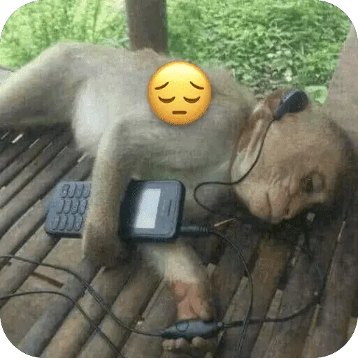 stickers_🐒_Reacciones_de_monitos🐒
