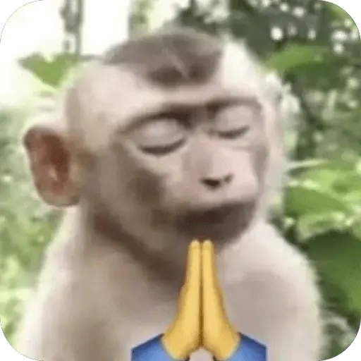 stickers_🐒_Reacciones_de_monitos🐒