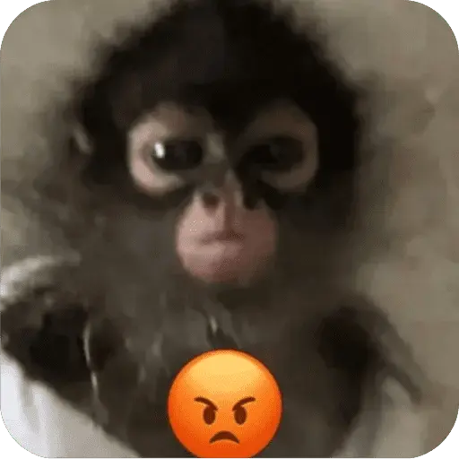 stickers_🐒_Reacciones_de_monitos🐒