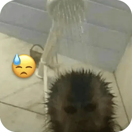 stickers_🐒_Reacciones_de_monitos🐒