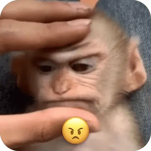 stickers_🐒_Reacciones_de_monitos🐒