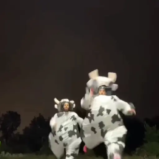 stickers_vaca_bailando_😎
