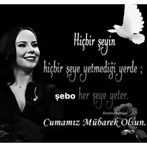 stickers_Türk_Meme