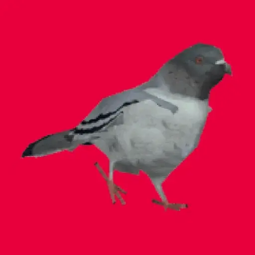 stickers_🕊Paloma_migajera_🙃