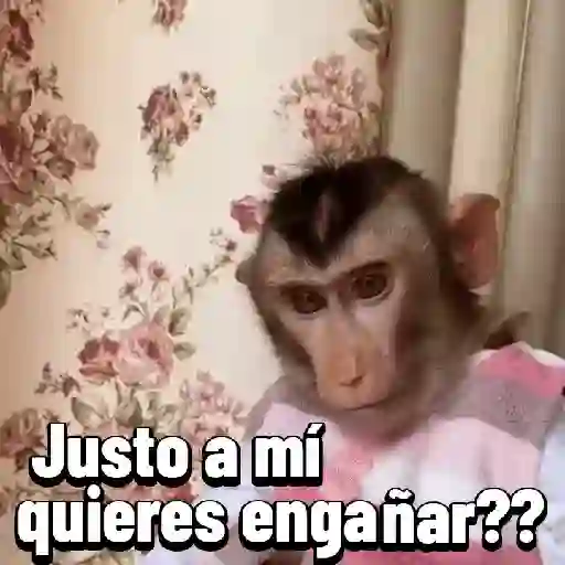 stickers_Monos_graciosos_contestones_🐒