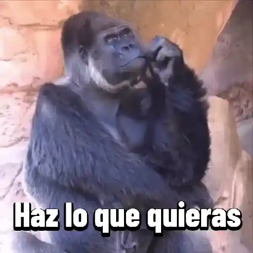 stickers_Monos_graciosos_contestones_🐒