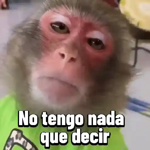 stickers_Monos_graciosos_contestones_🐒