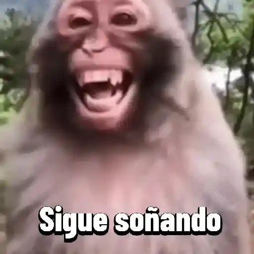 stickers_Monos_graciosos_contestones_🐒