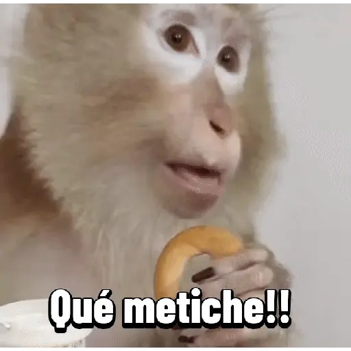 stickers_Monos_graciosos_contestones_🐒