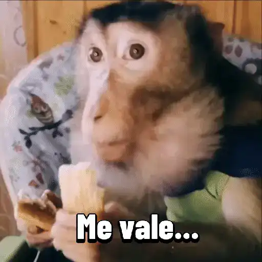 stickers_Monos_graciosos_contestones_🐒