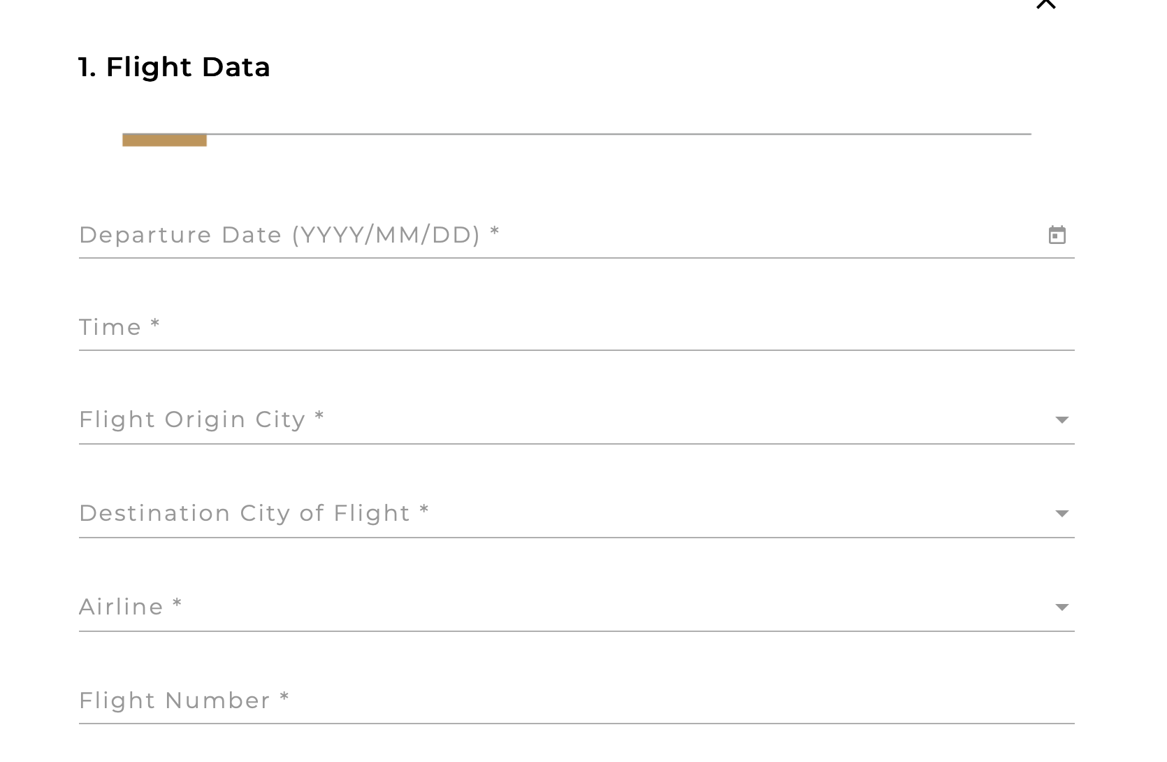 5. Flight Data.png