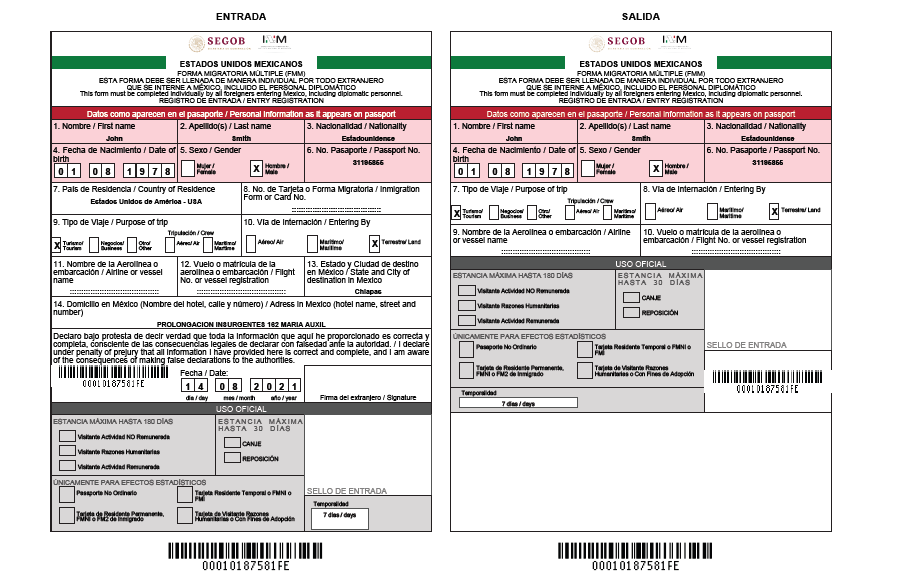 Printable Fmm Form In English