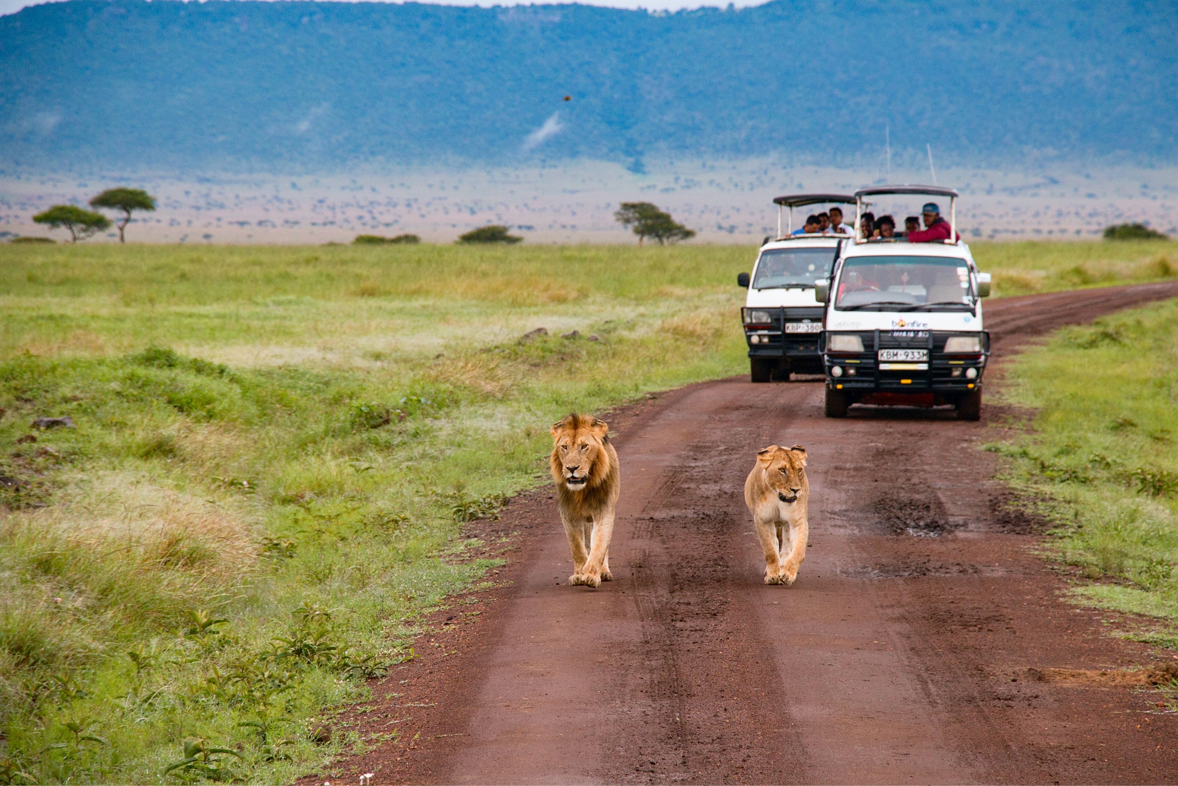 MasaiMara National Reserve