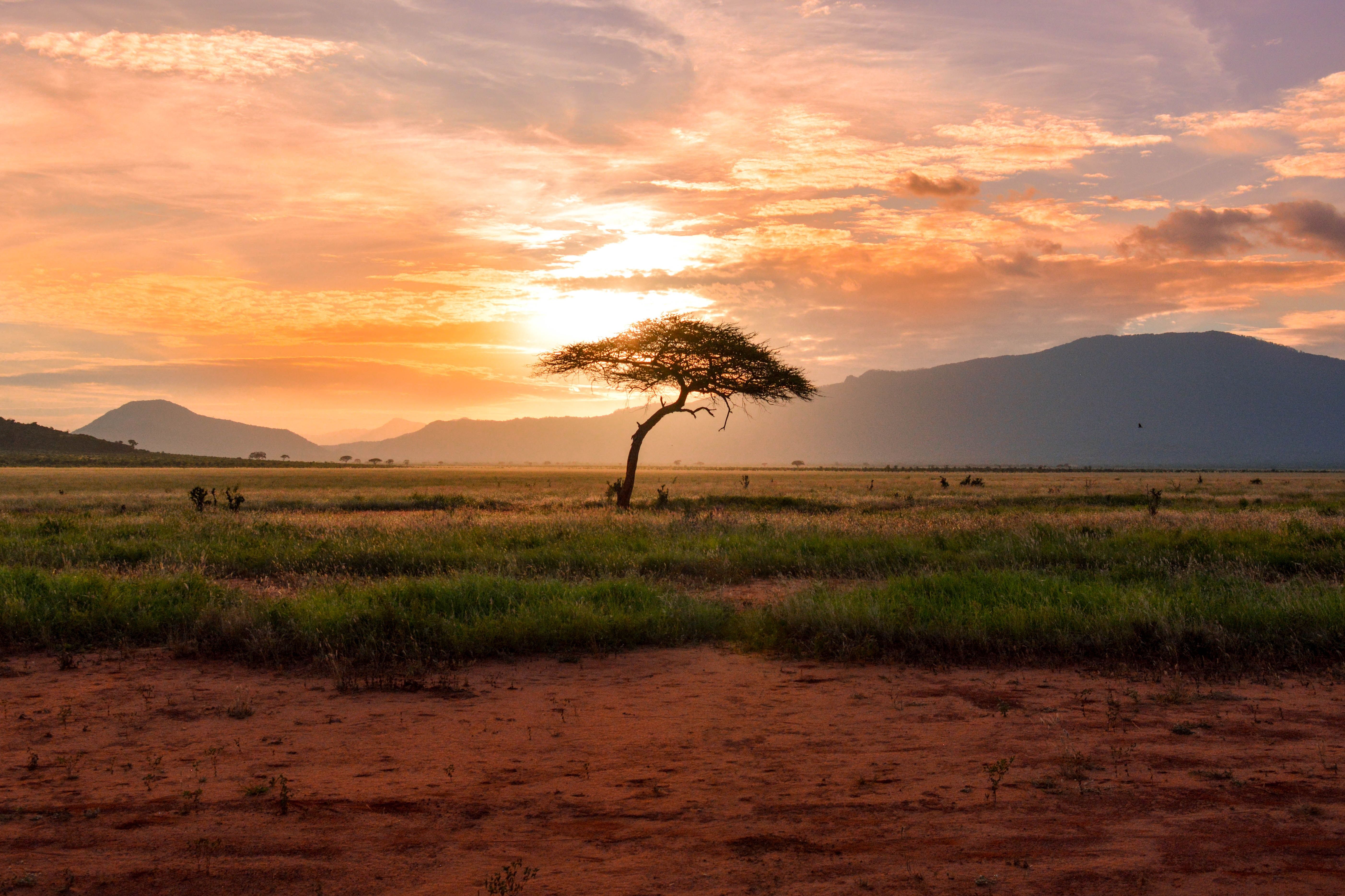 Tsavo East National Park Kenya