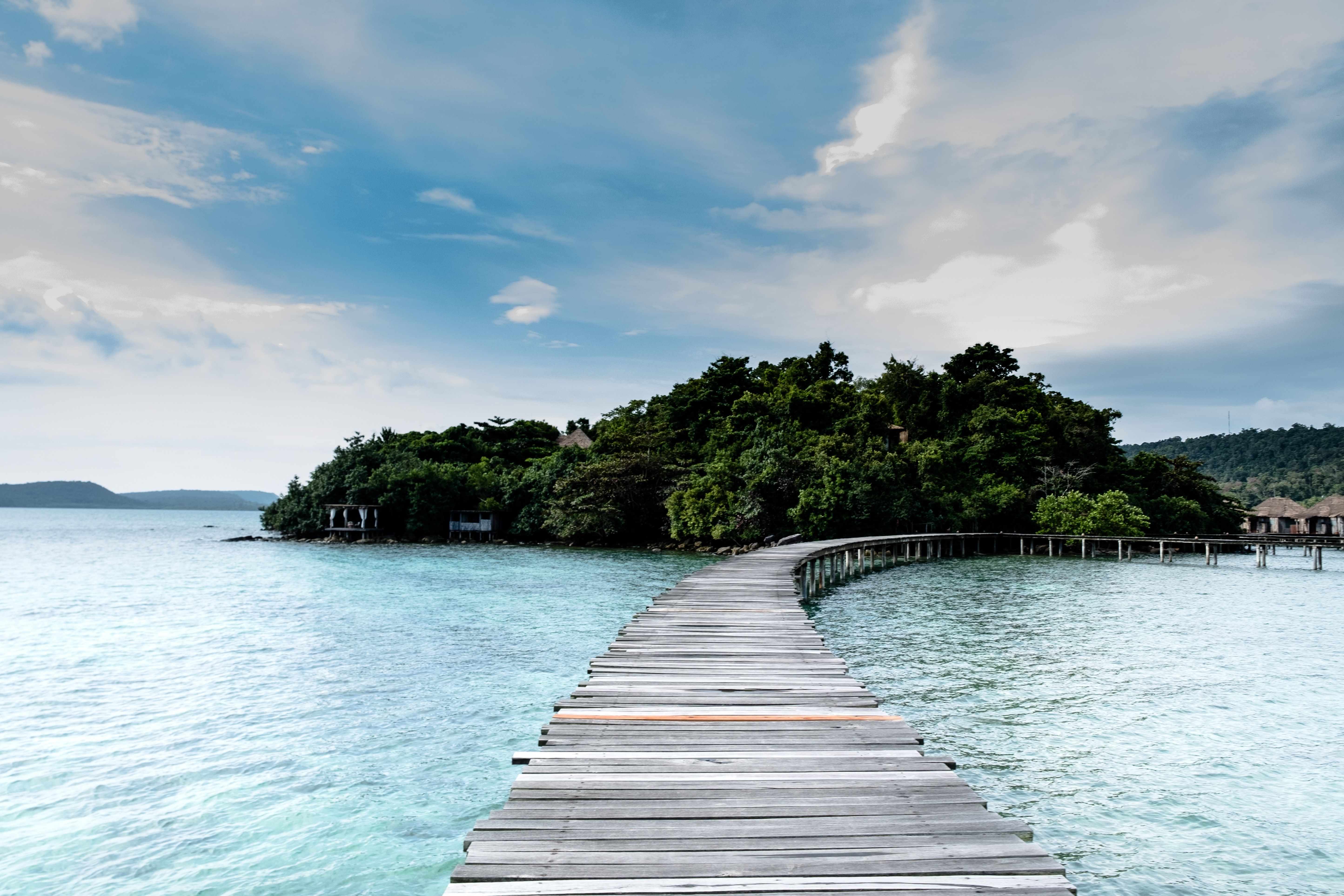 bridge and trees surrounded by blue water during daytime