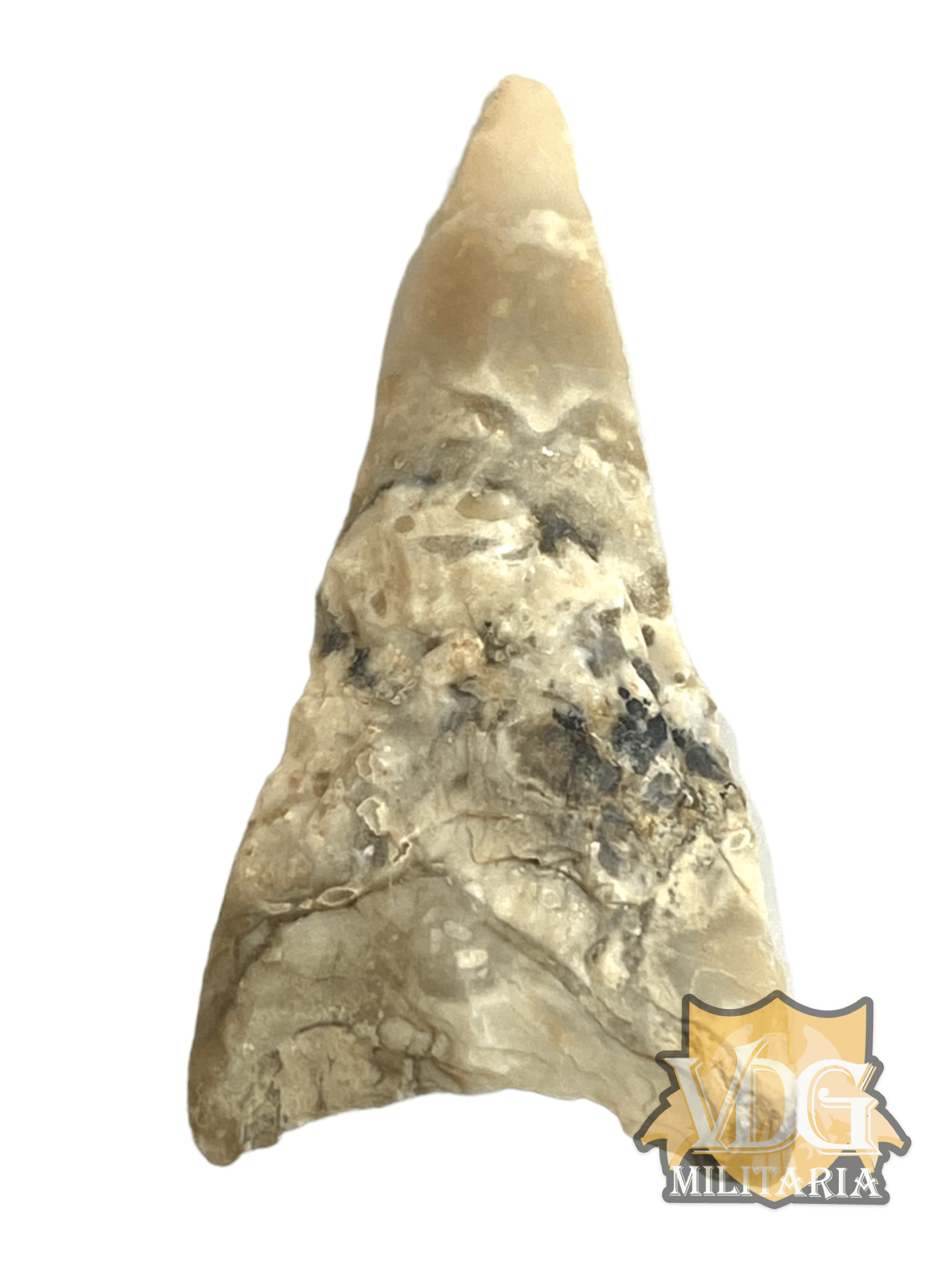 Saharan Neolithic Era Projectile Point 7,000-3,000 BC (3 1/4 CM)