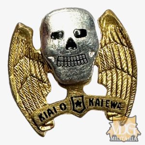 WW2 Era US Army 5th Bomb Group Distinctive Unit Insignia Pin-Meyer Pinback