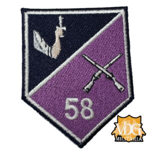 Irish Army 58th Recruit Platoon Patch Insignia