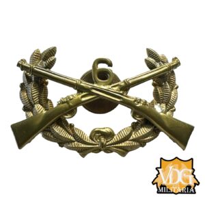 WW1 Era US ROTC Militia Crossed Rifle 6th Wreath Screwback Badge