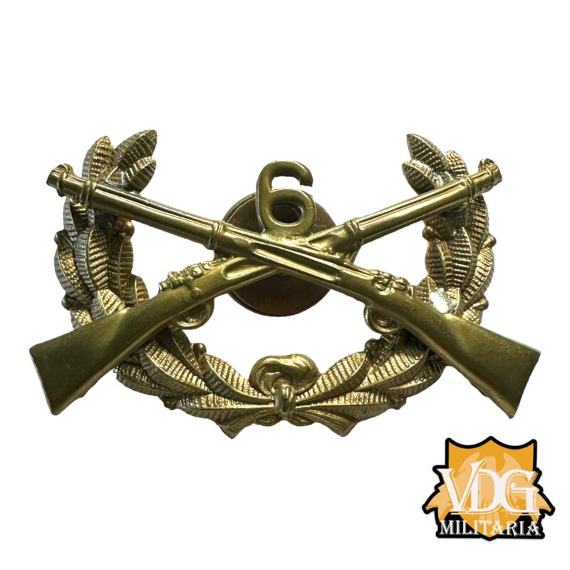 WW1 Era US ROTC Militia Crossed Rifle 6th Wreath Screwback Badge