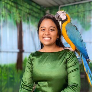 GAYATHRI K