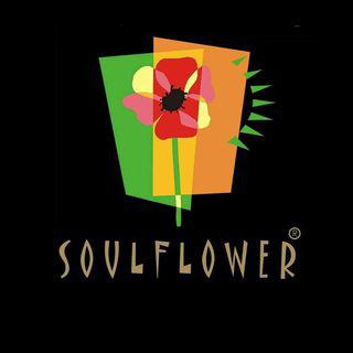 Soulflower | Hair Growth & Skin Brightening