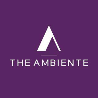 The Ambiente Rugs