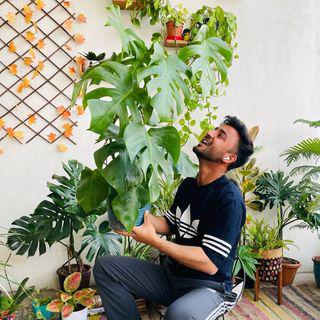 Nanav PuNia