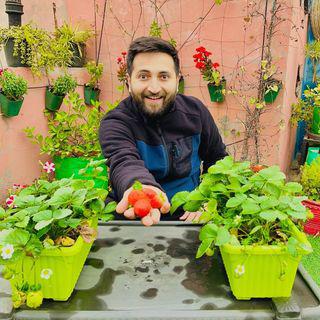 Mayank Sharma - Sustainability | Terrace Farming | Cooking