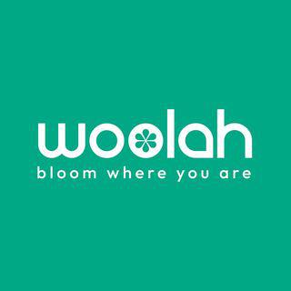 Woolah Bagless Green Tea