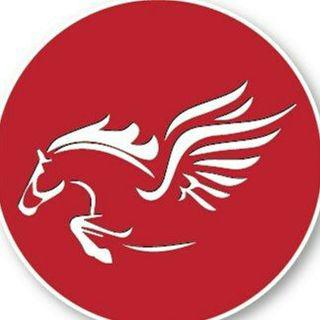 Pegasus for Kids