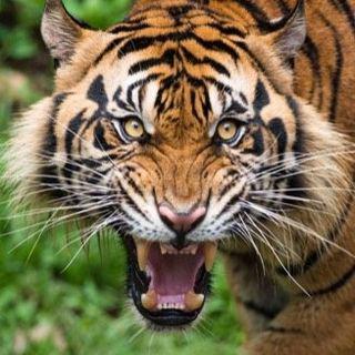 Atharva Ruke