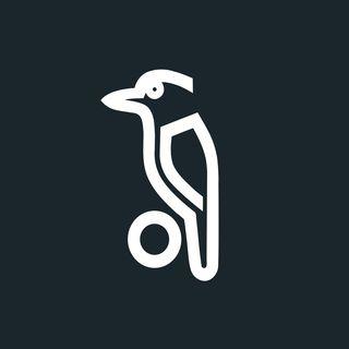 Kookaburra Cricket