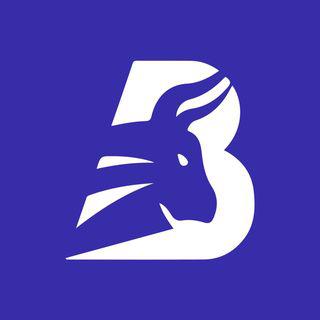 BullScout - Rohit Kumar