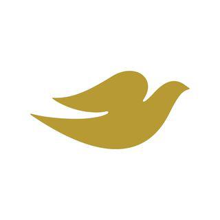 Dove India